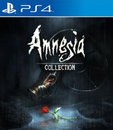 Amnesia Collection