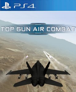 Top Gun Air Combat